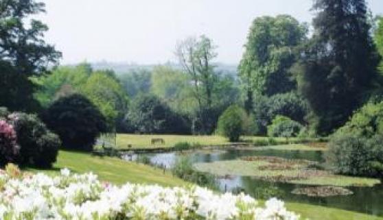 Rosecraddoc Manor - Heron , Liskeard, Cornwall