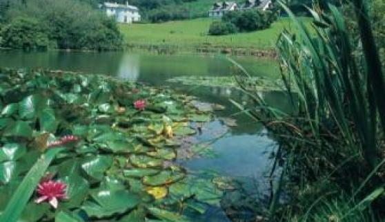 Rosecraddoc Manor - Lakeview, Liskeard, Cornwall